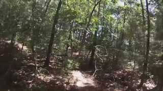 Camp America 2014 - Camp Burgess and Hayward