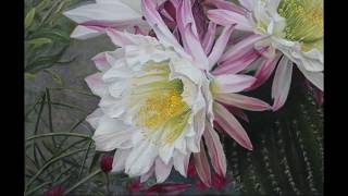 Cactus en flor.Pintura al oleo  por Imma Merino