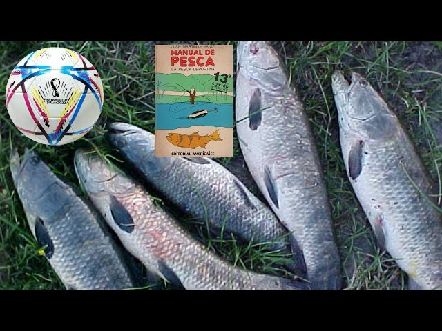 Vídeo relacionado con Manual de Iniciación a Pesca En Agua Dulce y Mar