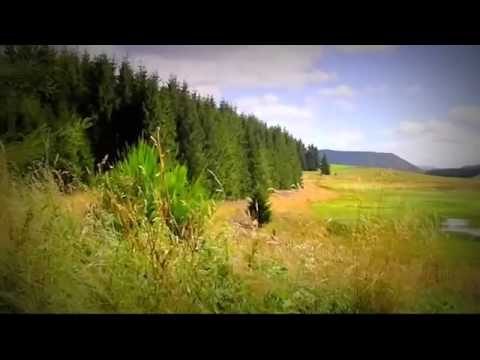 Cazare Brasov Centru - Cazat.ro