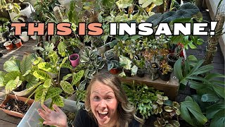 My WORST Plant Parent Confession: 100+ Plants Need Repotting