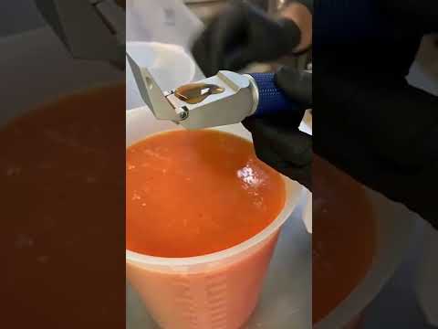 Recette Sorbet orange sanguine