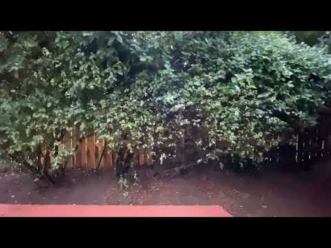 Beautiful Three Bedroom In Lake Oswego W/ A Bonus Room! property video
