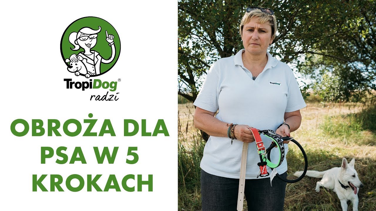Tropidog radzi #05 - Wybieranie właściwej obroży w 5 krokach