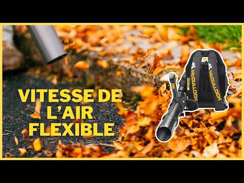 Souffleur McCulloch GB 355 BP : test complet et avis honnête