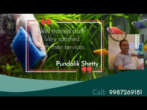 Aquarium Maintenance Services