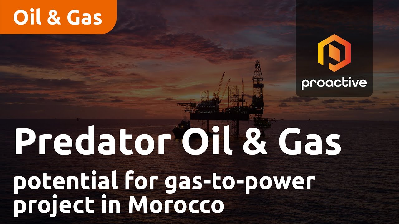 Predator Oil & Gas sees potential for gas-to-power project in Morocco