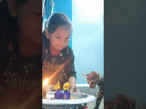 #cutecats#rakshabandhan celebration🤗💝💝💝💝😍🥰