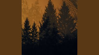 From Roots to Needles