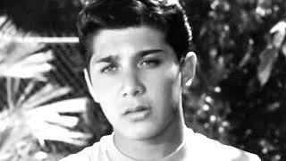 It's Time to Cry  PAUL ANKA