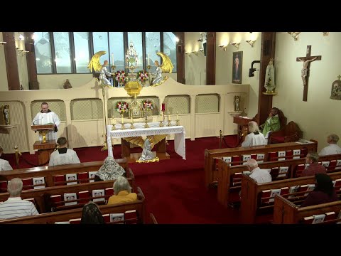 Daily Readings and Homily - 2025-08-12 - Fr. Paschal