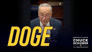 Whatever DOGE Is Doing, It Is Not What Democracy Looks Like.