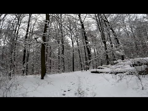 45 minute extrem Snow Cube MTB Winter Indoor Cycling Workout Ultra HD Video