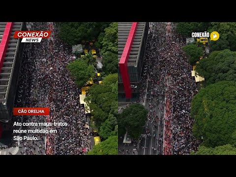 Vídeo: Ato contra maus-tratos reúne multidão em São Paulo.