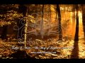 Trobar de Morte - The Harp of Dagda, acoustic 2011 ...