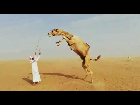ما شاء الله كفو #سناو #أبل #بوش 🇴🇲