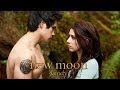 New Moon Parody by The Hillywood Show™ 