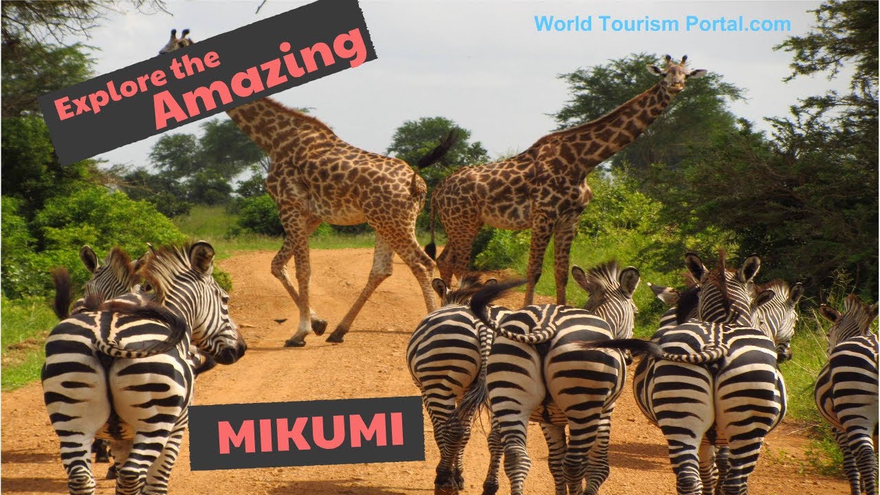 Mikumi National Park
