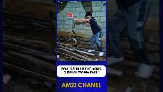 Download lagu EVACUATION OF KING COBRA SNAKES IN A RESIDENT'S HOUSE part 1 mp3 Download lagu EVACUATION OF KING COBRA SNAKES IN A RESIDENT'S HOUSE part 1 mp3