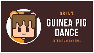 Cover art for Grian - Guinea Pig Dance