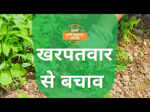 Methods of weed control in vegetable crops!

