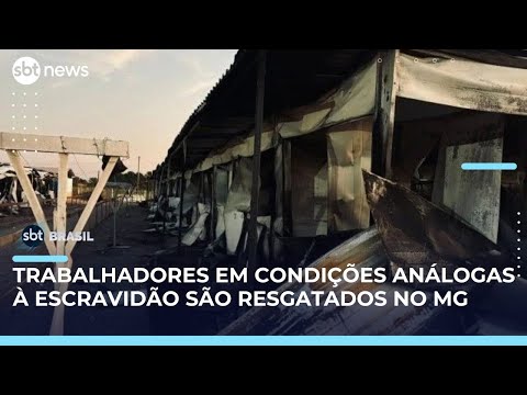 Operação resgata mais de 500 trabalhadores em condições análogas à escravidão | #SBTBrasil