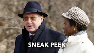 Sneak Peek 'Red & Anne'