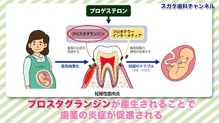 医療法人社団　スガタ歯科医院