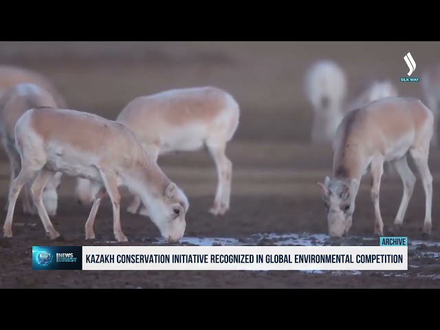 Kazakistan çevre girişimi küresel çevre yarışmasına sunuldu