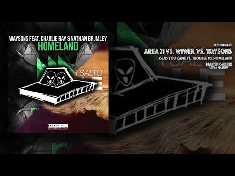 Glad You Came vs. Trouble vs. Homeland (Martin Garrix Mashup)
