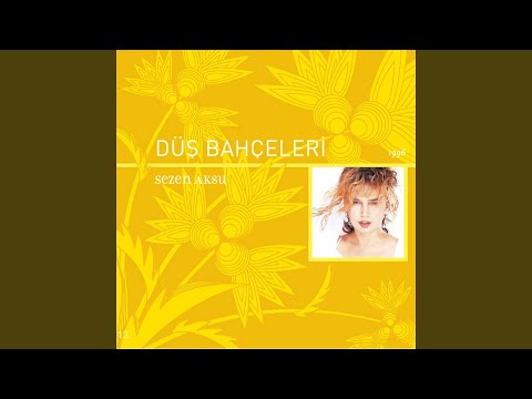 Sezen Aksu - Seni Yerler cover