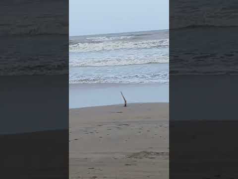 Beach lo aal mee bhaskar #music #love