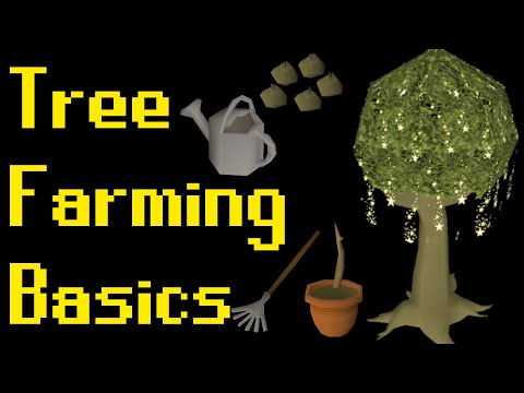 Basic Tree Farming Guide 2021 Osrs