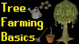 Basic Tree Farming Guide 2021 (OSRS)