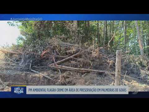 PM Ambiental flagra crime em área de preservação em Palmeiras de Goiás