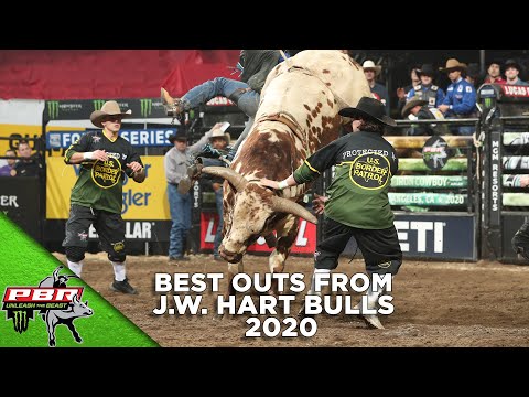 The Best Bulls From J.W. Hart | First Half 2020