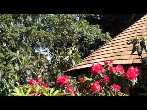 Chelsea Flower Show 2012 - Die Luft-Hütten