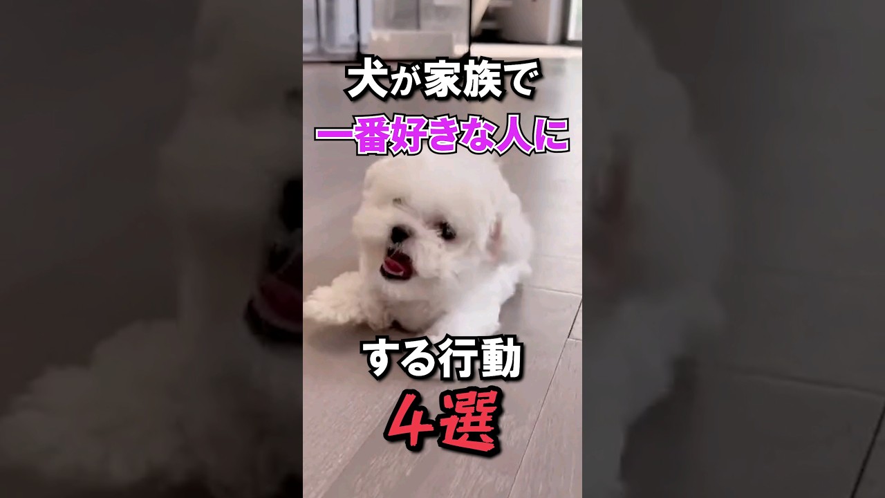 犬にこれされたら最愛の人です
