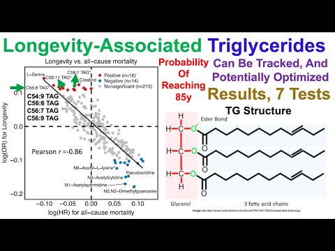 Longevity-Associated Triglycerides (7-Test Results)