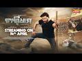 Chardham 14th April Anubhav Mohanty Anuradha Panigrahi New Odia Movie Tarang Plus