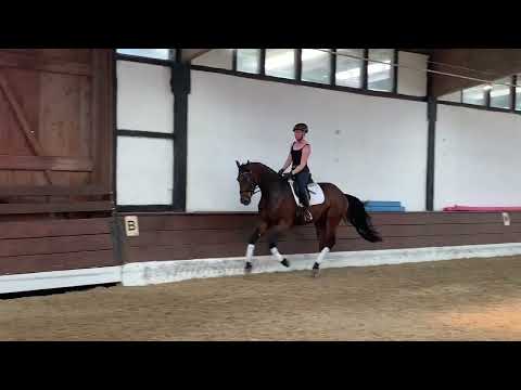 MR:SHEFFIELD 4j. v. Szenario - Schwarzenegger VB 7.000,- Euro