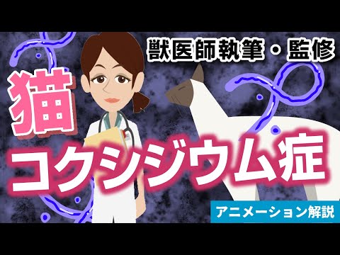 猫の寄生虫 - 症状と治療法