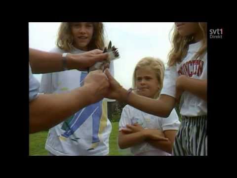 Prinsessbröllopet 2013 - Återblick på prinsessan Madeleines liv