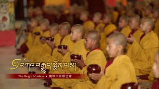 第三十六屆噶舉大祈願法會，第四天、早上。