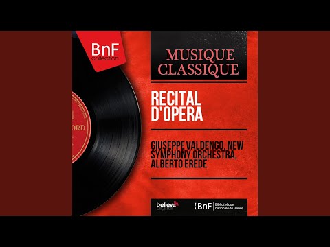 Video per il significato della canzone Cortigiani, vil razza dannata di Giuseppe Verdi e Francesco Maria Piave