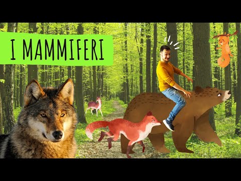 VERTEBRATI #5 - I MAMMIFERI - Le scienze spiegate FACILI