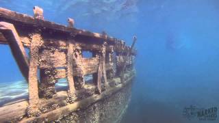preview picture of video 'Scuba Diving In Tobermory Ontario 2013'