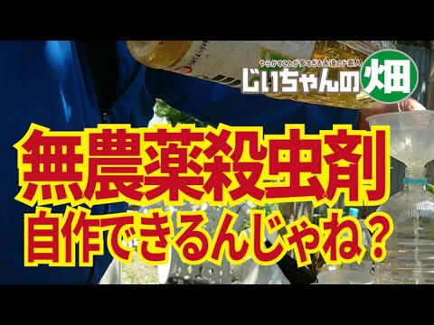 自家製殺鼠剤のレシピ 自家製鶏小屋のネズミのための砂糖致死性食中毒