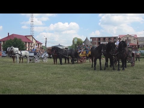 Parada si premierea trasurilor cu cai - Tasnad, Satu-Mare 2017