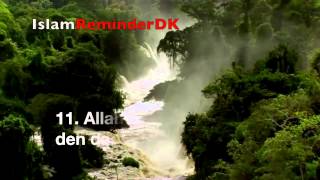 Download lagu NEW● Beautiful koran ● Surat al insan ● Sheikh Mansour Al Salimi. ● IslamReminderDK. mp3 Download lagu NEW● Beautiful koran ● Surat al insan ● Sheikh Mansour Al Salimi. ● IslamReminderDK. mp3
